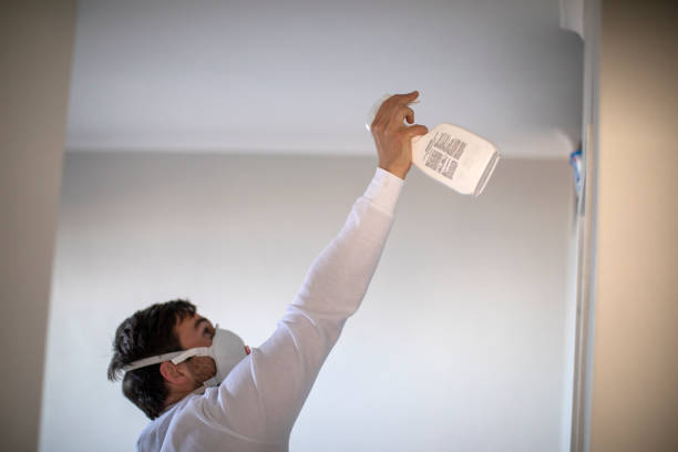 Best Industrial Mold Remediation in Hawthorne, FL